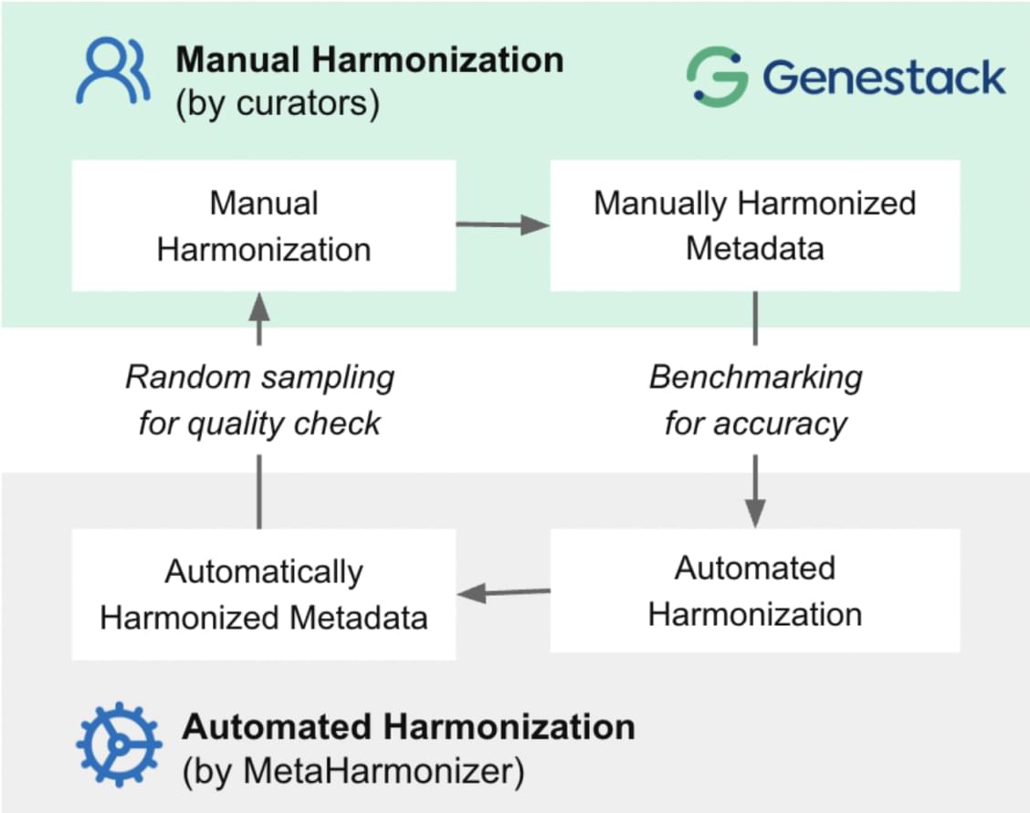 Our Collaboration: Genestack’s Role in Scalable FAIRification