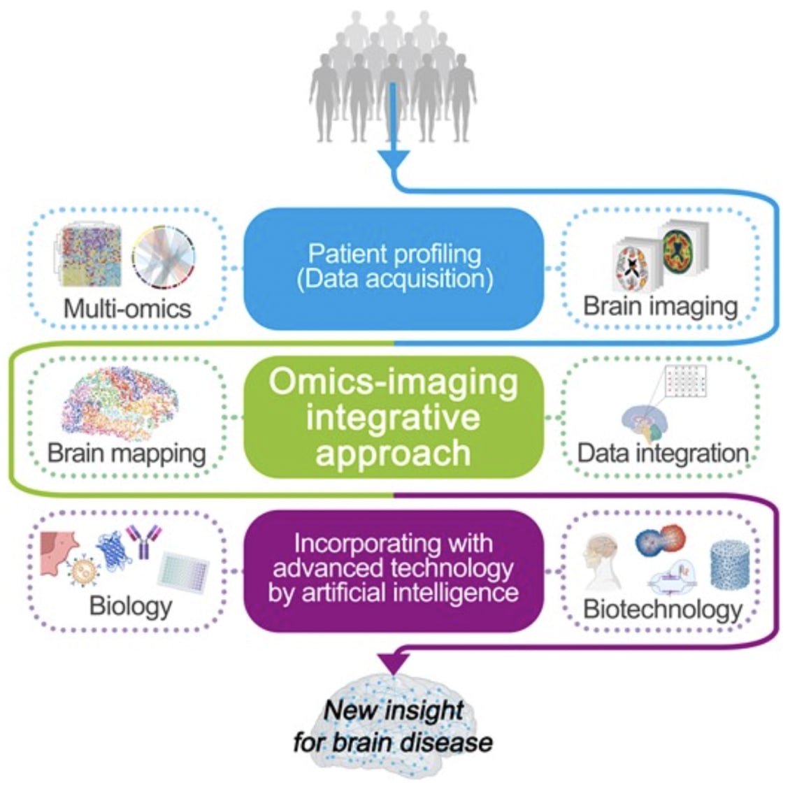 Integrative approach of omics and imaging data