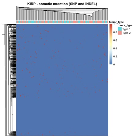 Figure 2. The heatmap summarising mutation data for KIRP. The rows are genes and columns are samples, colour represents the number of mutations.