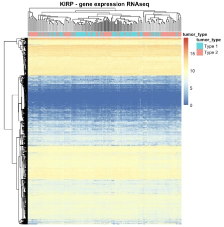 Figure 3. The heatmap summarising RNA-seq gene expression data for KIRP.